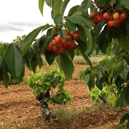 Casa de Férias En Lerma
